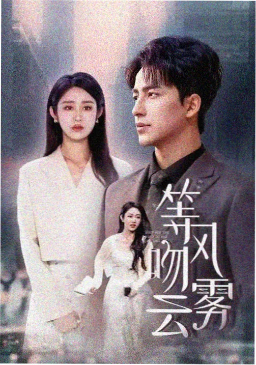 热播剧集免费看 冒险悬疑剧《边境信号》